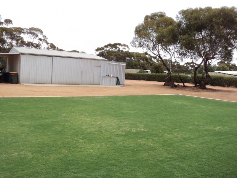 56 Slaughter rd, Barmera SA 5345
