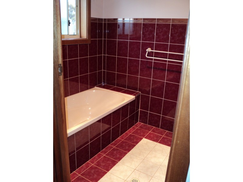 56 Slaughter rd, Barmera SA 5345