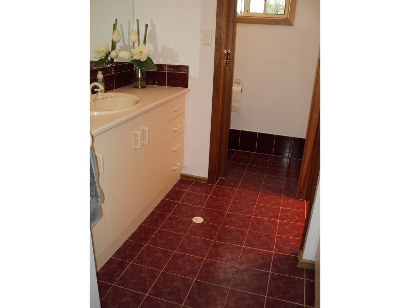 56 Slaughter rd, Barmera SA 5345