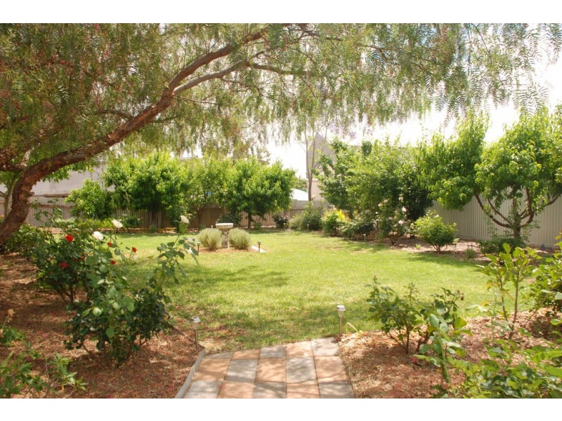 43 Cooper Street, Berri SA 5343