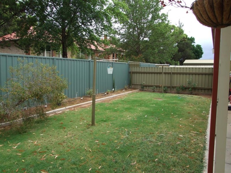 7 Scott Ave, Barmera SA 5345