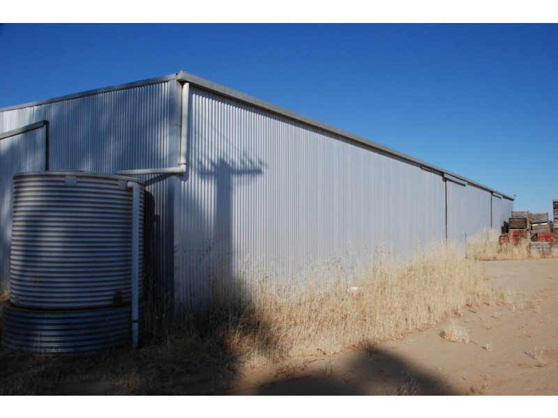 42 Rumball Rd Winkie via, Berri SA 5343