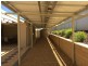 25 Jarvis Street, Berri SA 5343