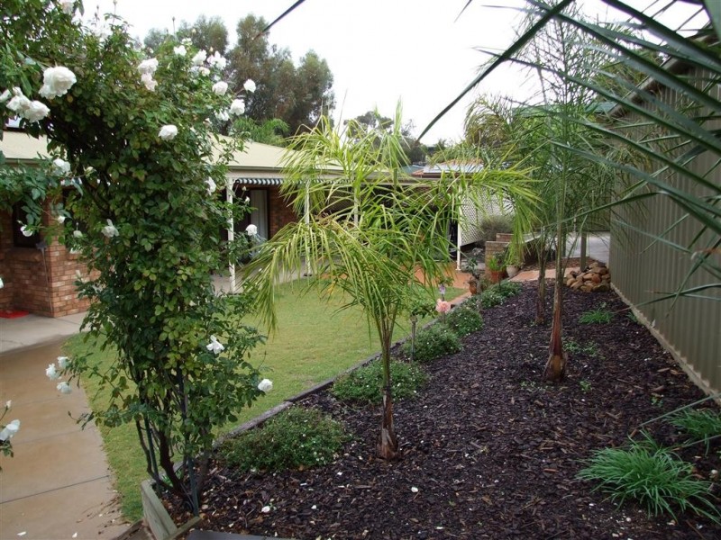 2 Arndt St, Berri SA 5343