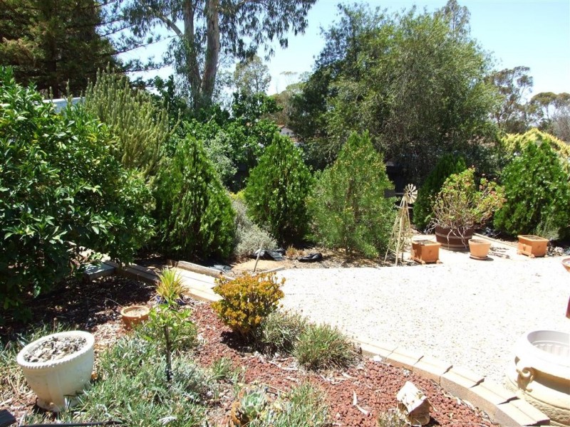 58 Powell St, Berri SA 5343