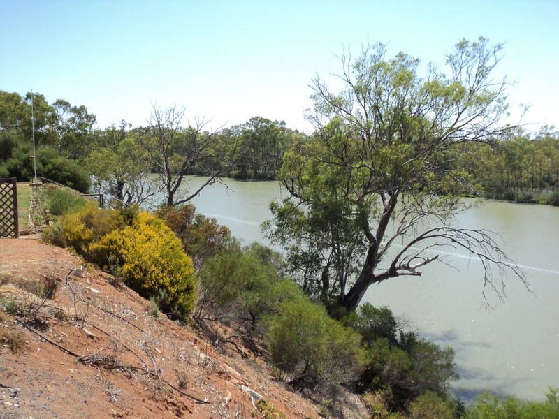 33 Harrington road, Kingston On Murray SA 5331