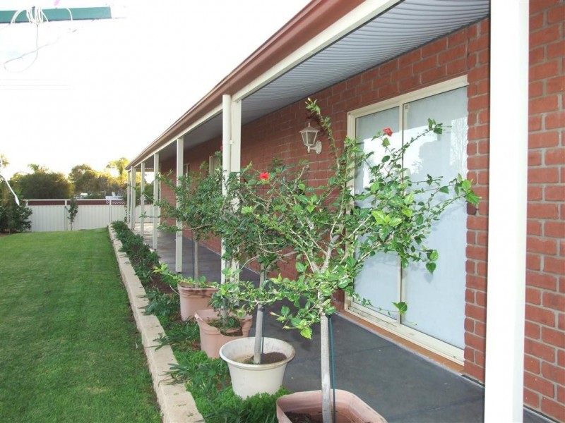 8 Elenore Ave, Paringa SA 5340