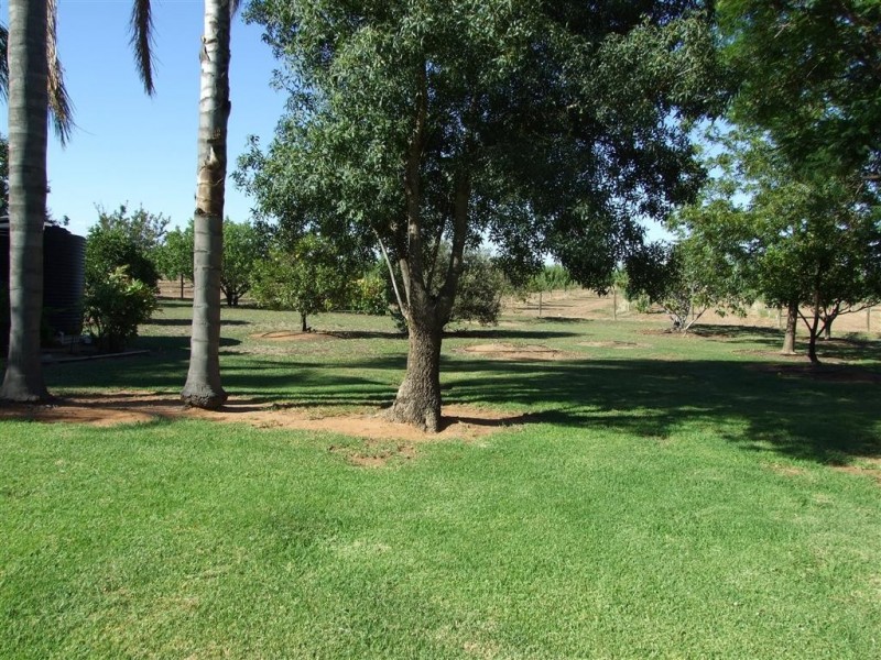 103 Twentysixth St, Renmark SA 5341