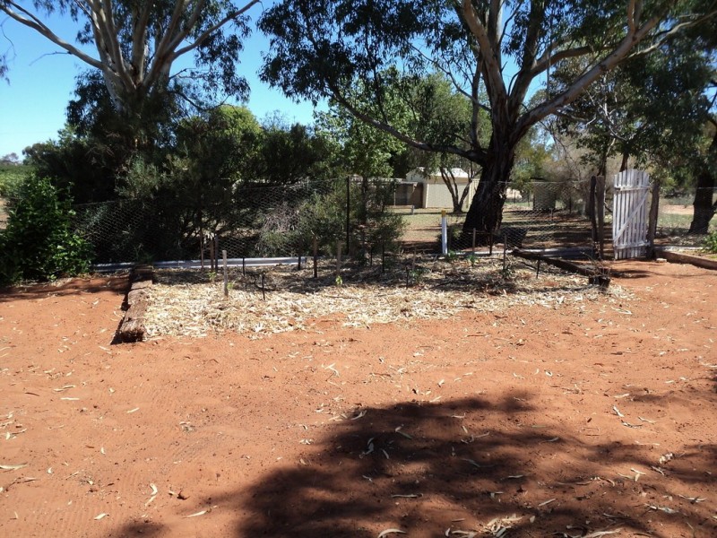 28 Mutton road, Monash SA 5342