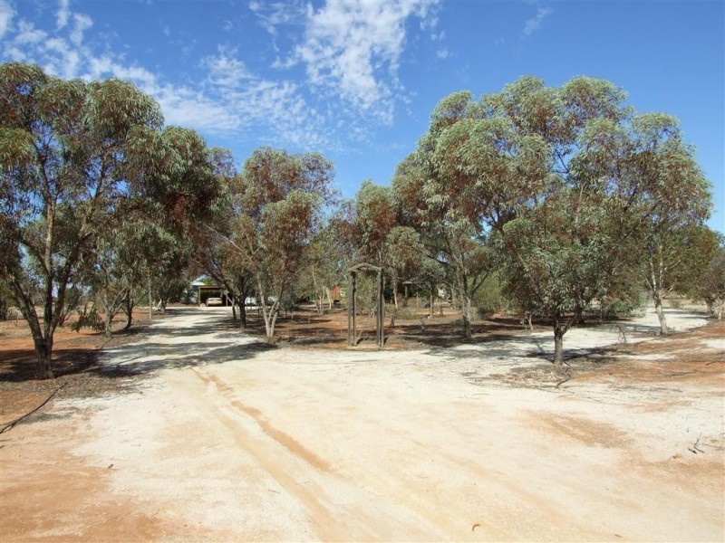 33 Von Bertouch Rd Winkie via, Berri SA 5343