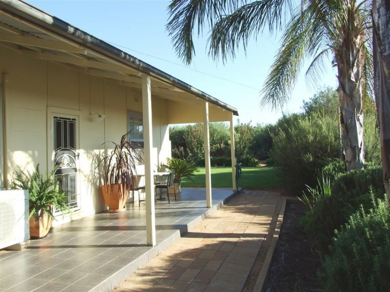 466 Tarcoola St, Renmark SA 5341