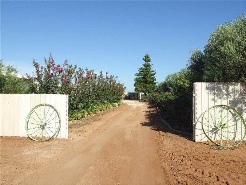 466 Tarcoola St, Renmark SA 5341