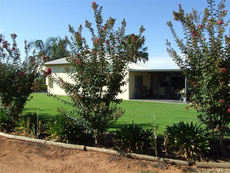 466 Tarcoola St, Renmark SA 5341