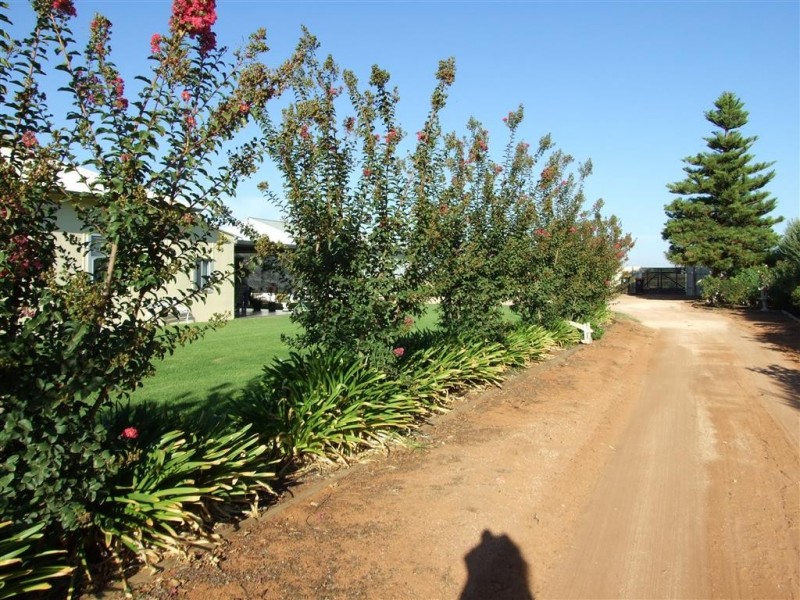 466 Tarcoola St, Renmark SA 5341