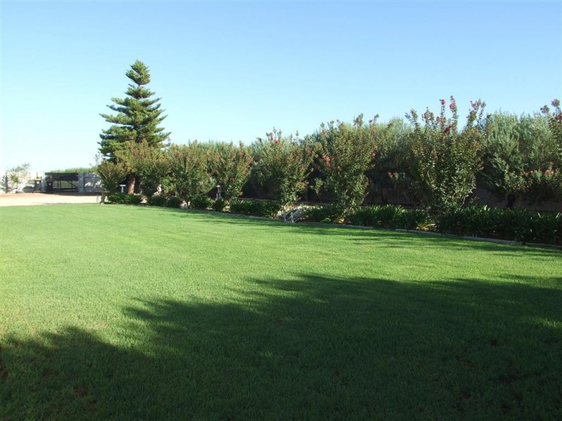 466 Tarcoola St, Renmark SA 5341