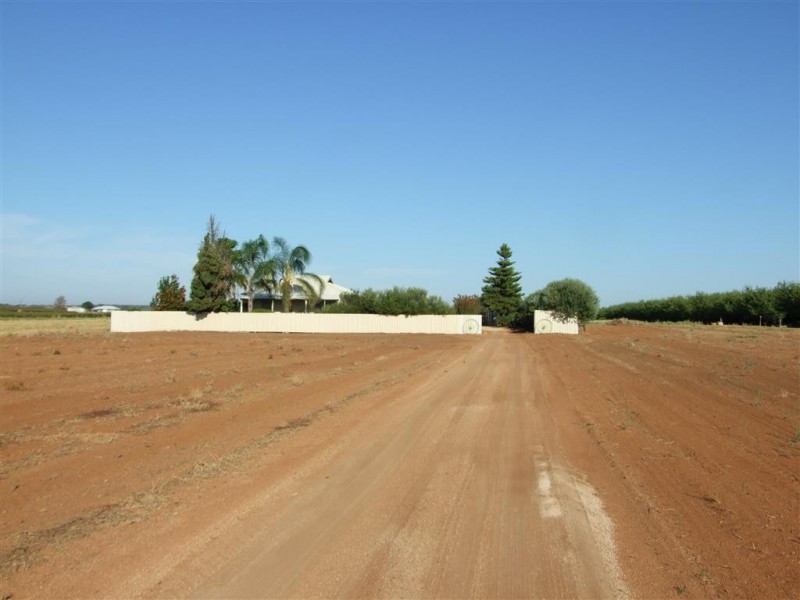 466 Tarcoola St, Renmark SA 5341