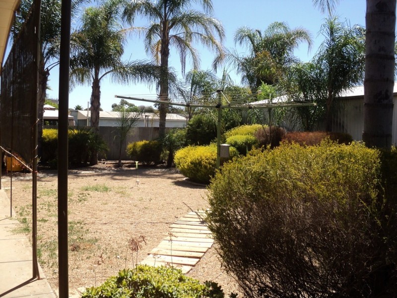 51 Tonkin Avenue, Barmera SA 5345