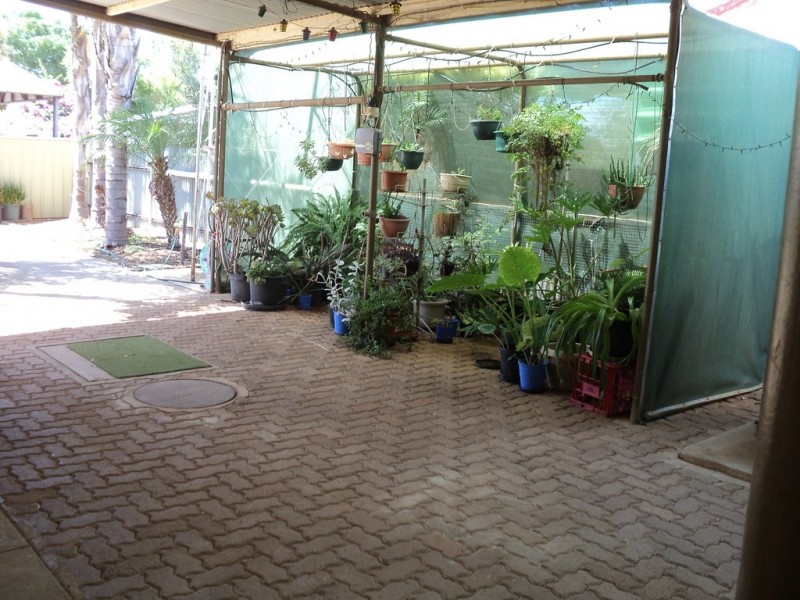 51 Tonkin Avenue, Barmera SA 5345