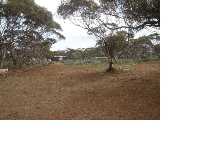 97 Buggy Road, Port Germein SA 5495