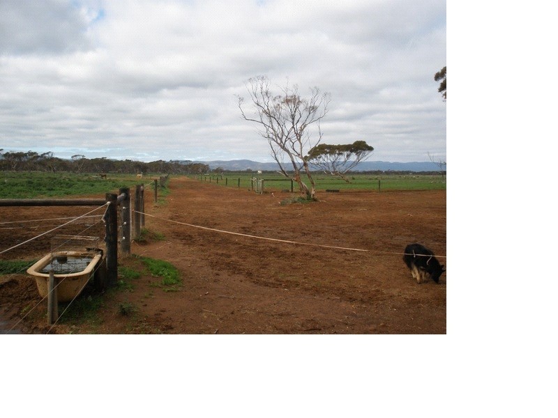 97 Buggy Road, Port Germein SA 5495