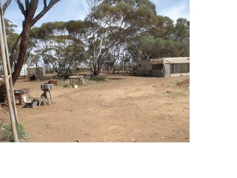 97 Buggy Road, Port Germein SA 5495