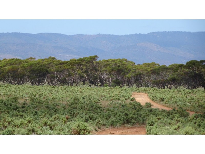 97 Buggy Road, Port Germein SA 5495