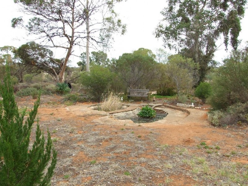 100 Bassham Rd, Barmera SA 5345