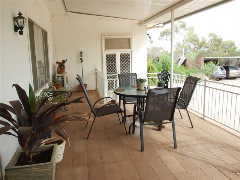 100 Bassham Rd, Barmera SA 5345