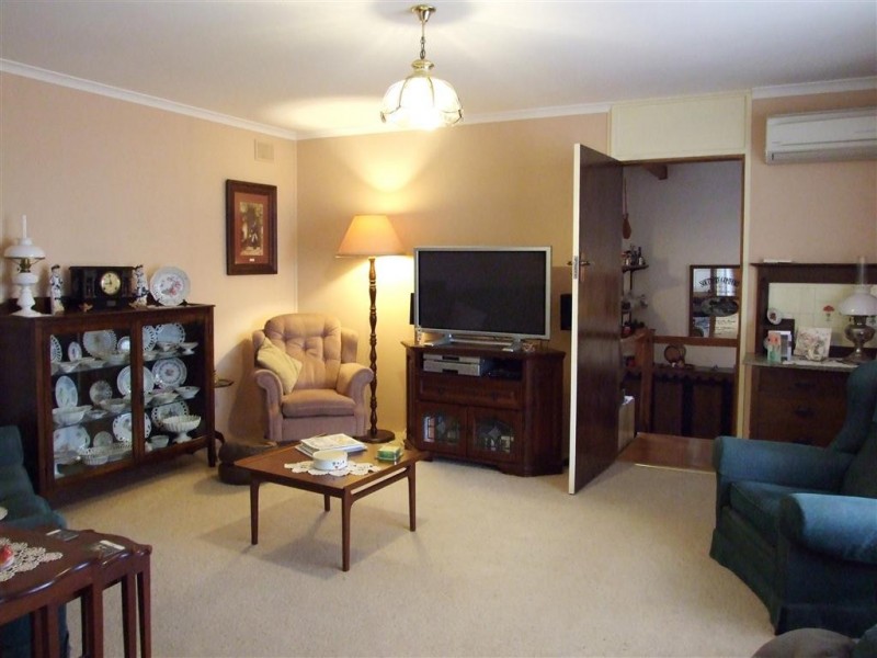 100 Bassham Rd, Barmera SA 5345