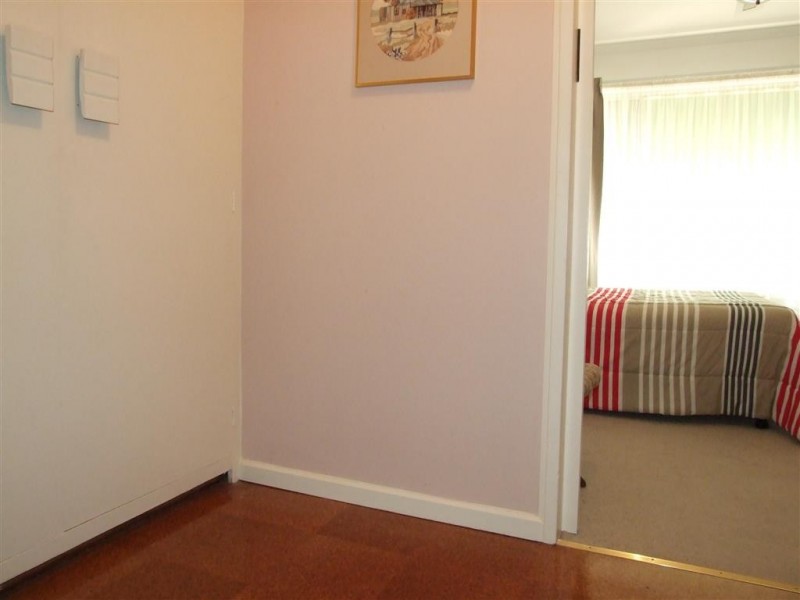 100 Bassham Rd, Barmera SA 5345