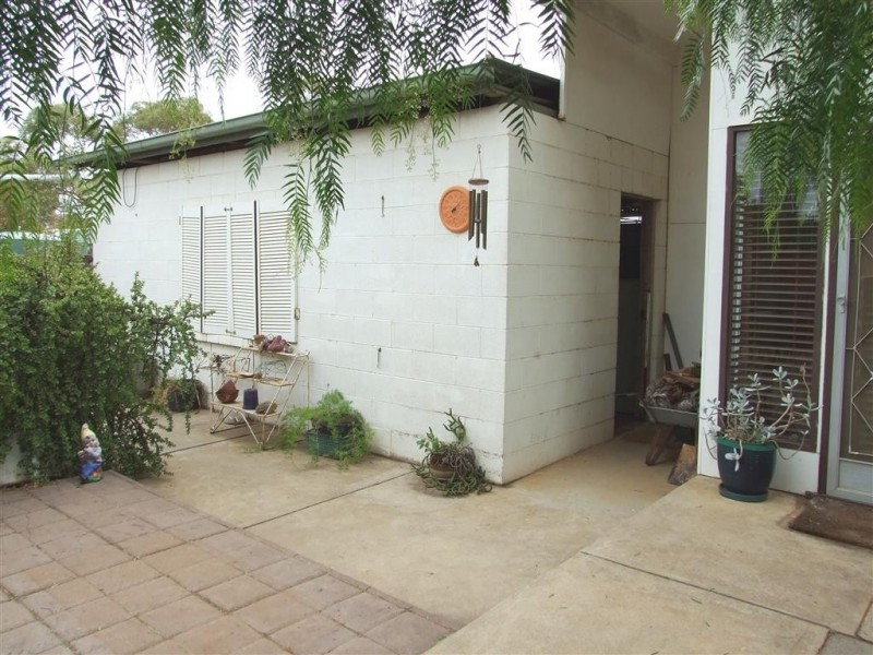 100 Bassham Rd, Barmera SA 5345