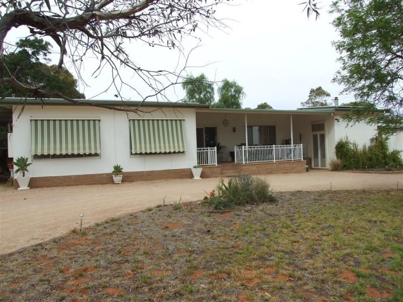 100 Bassham Rd, Barmera SA 5345