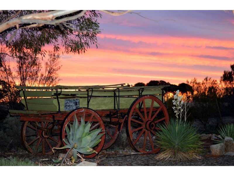 19042 Sturt Highway, Berri SA 5343