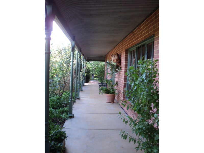 245 Nixon Road, Monash SA 5342