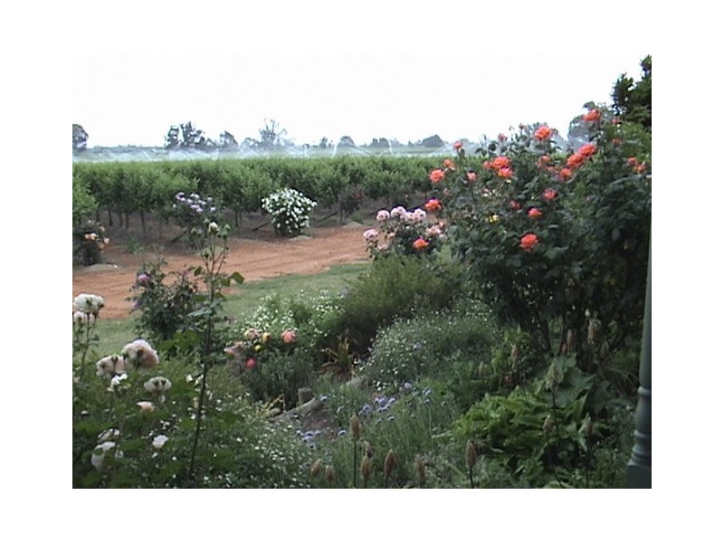 245 Nixon Road, Monash SA 5342