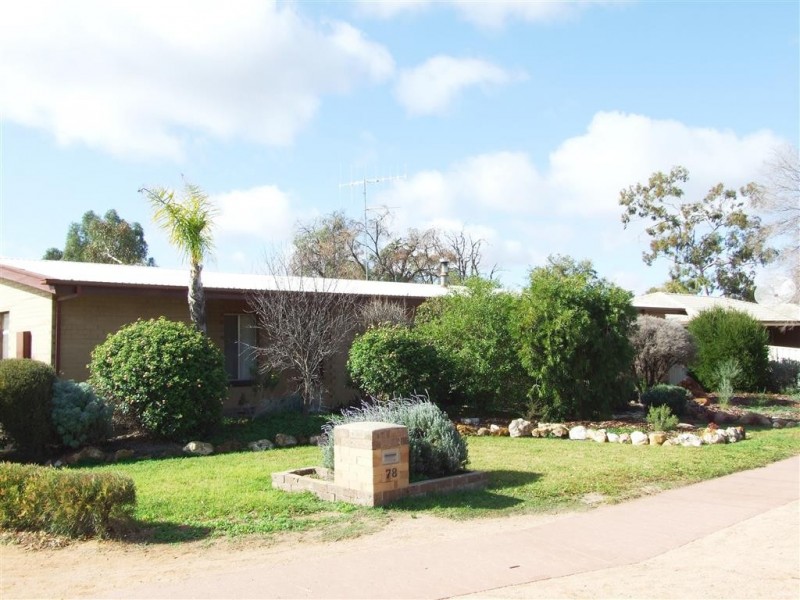 78 Twentieth Street, Renmark SA 5341