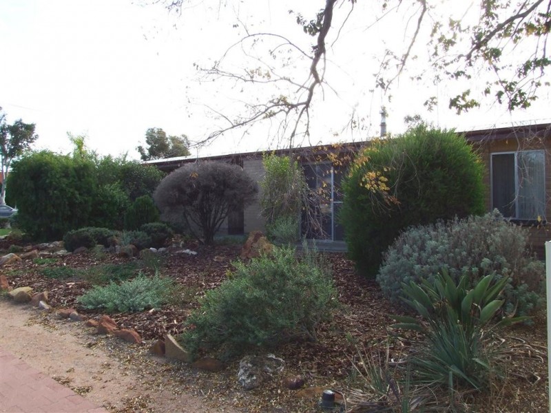 78 Twentieth Street, Renmark SA 5341
