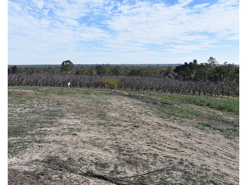 28 Brand Avenue, Loxton SA 5333