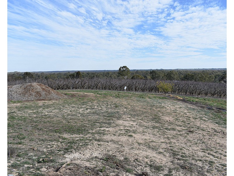 28 Brand Avenue, Loxton SA 5333