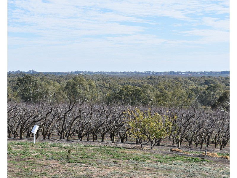 28 Brand Avenue, Loxton SA 5333