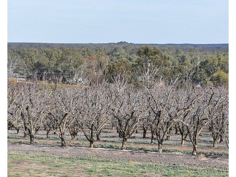 28 Brand Avenue, Loxton SA 5333