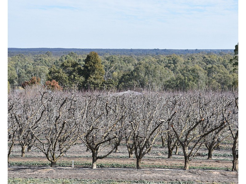 28 Brand Avenue, Loxton SA 5333