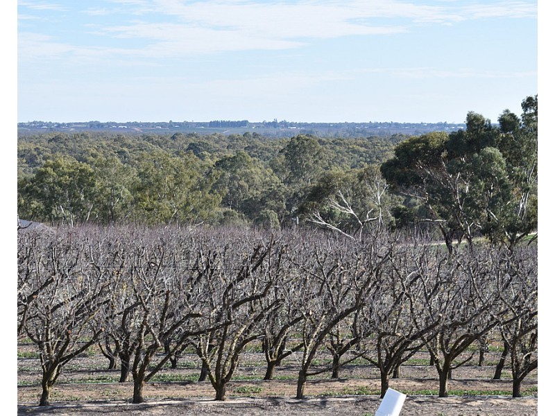 28 Brand Avenue, Loxton SA 5333