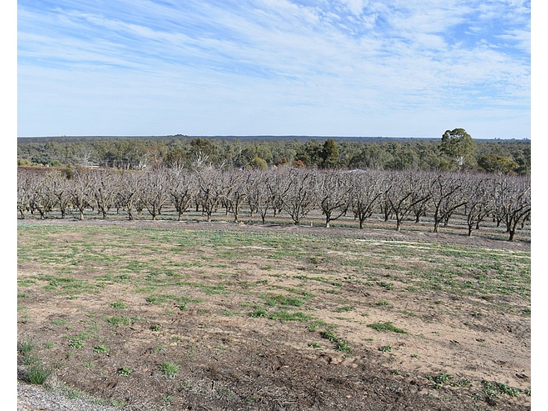 28 Brand Avenue, Loxton SA 5333