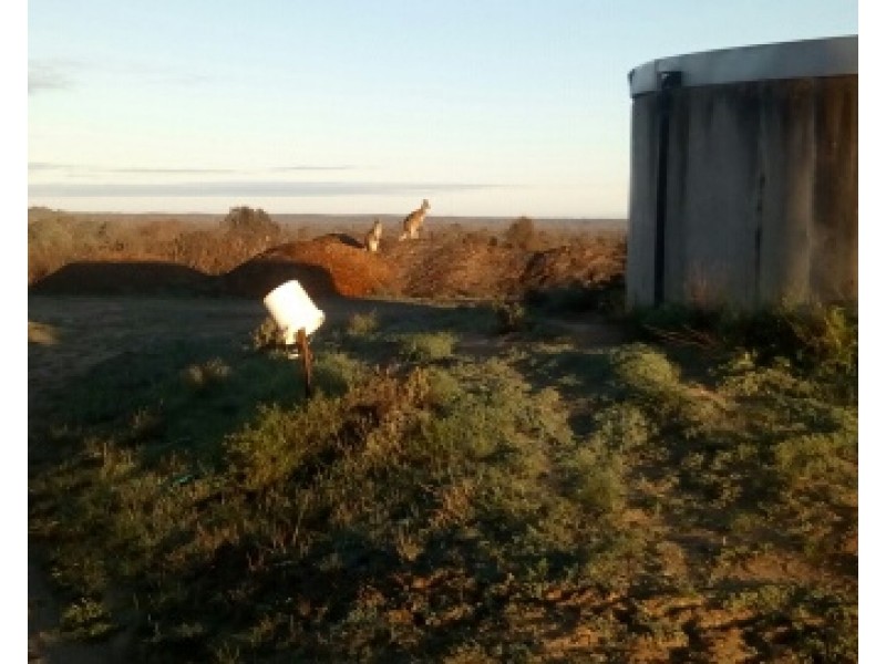 28 Brand Avenue, Loxton SA 5333