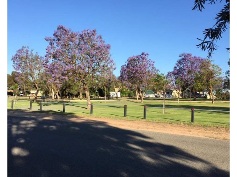 2 Waye Street, Berri SA 5343