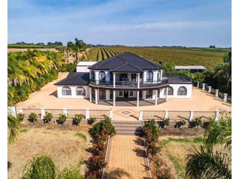 164 Government Road, Renmark SA 5341