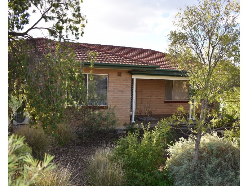 56 Drabsch St, Loxton SA 5333