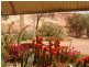 Lot 757 Underwood Crescent, Coober Pedy SA 5723