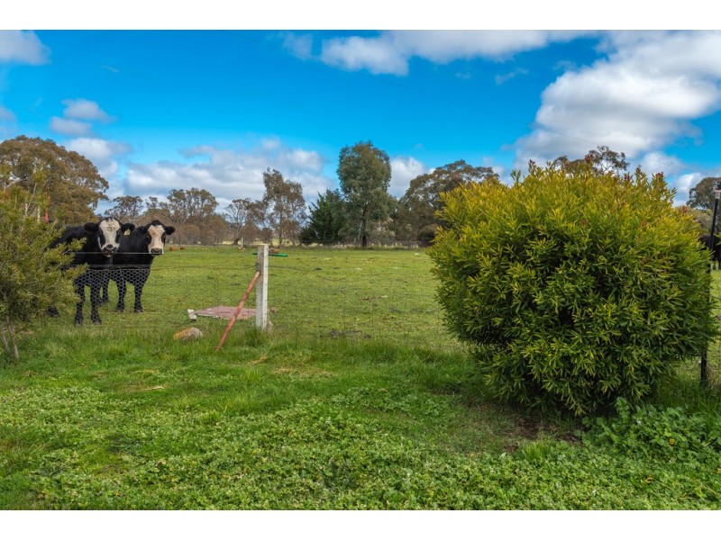 150 Buntings Lane, Glenhope VIC 3444